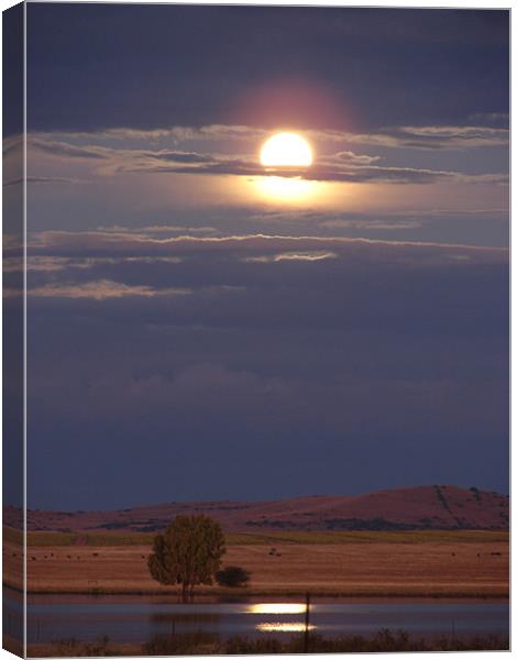 Moon rising Canvas Print by Louise Eksteen