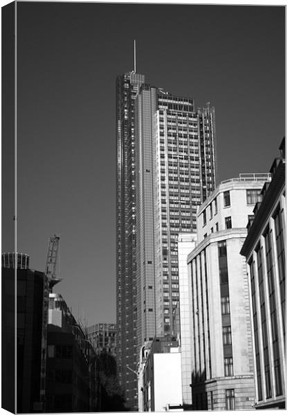 The Heron Tower Canvas Print by Chris Day
