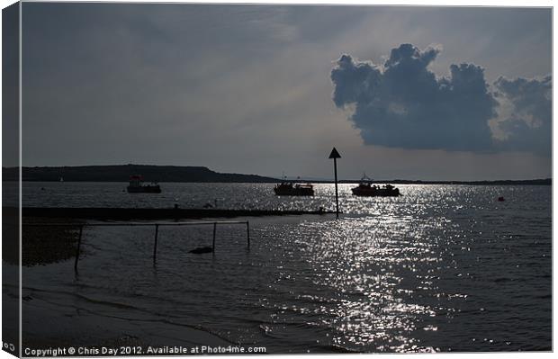 Christchurch Harbour viewed from Mudeford Canvas Print by Chris Day