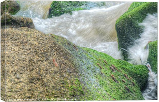 Waves on the Rocks Canvas Print by Chris Day