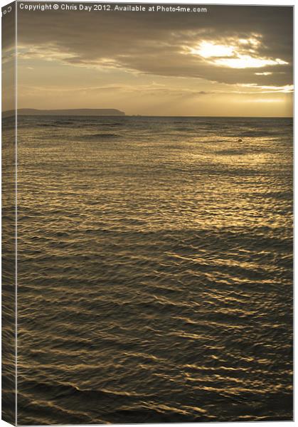 Isle of Wight Canvas Print by Chris Day