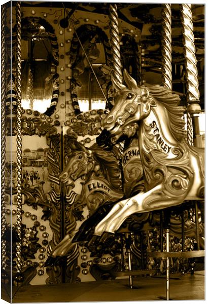 Carousel Horse Canvas Print by Chris Day