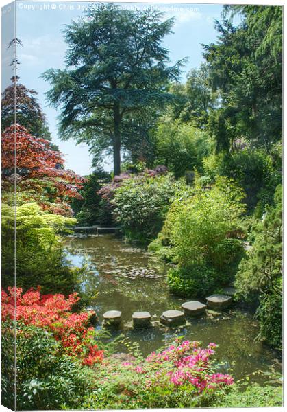 Japanese Garden Canvas Print by Chris Day