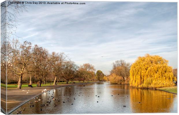 Regents Park in London Canvas Print by Chris Day