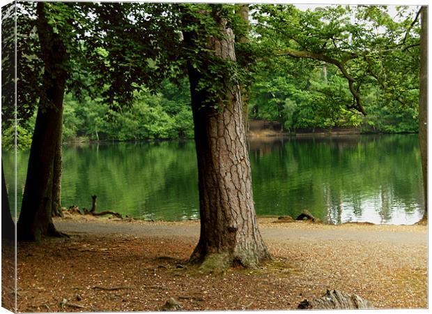 Lakeside Scene Canvas Print by Chris Day