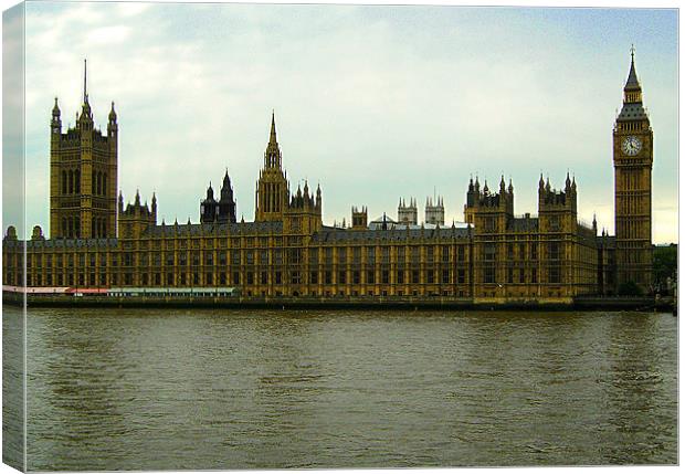 Palace of Westminster from the South Bank Canvas Print by Chris Day