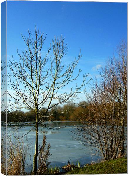 Frozen Lake Canvas Print by Chris Day