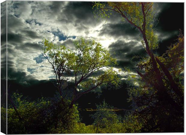 Spooky Wood Canvas Print by Chris Day