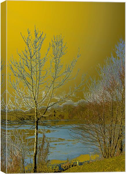 Icy lake under a golden sky Canvas Print by Chris Day
