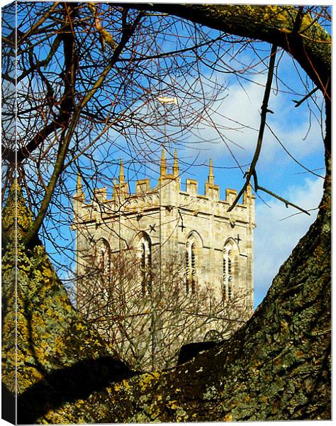 Religious tree Canvas Print by Chris Day