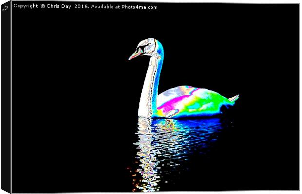 Mute Swan Canvas Print by Chris Day