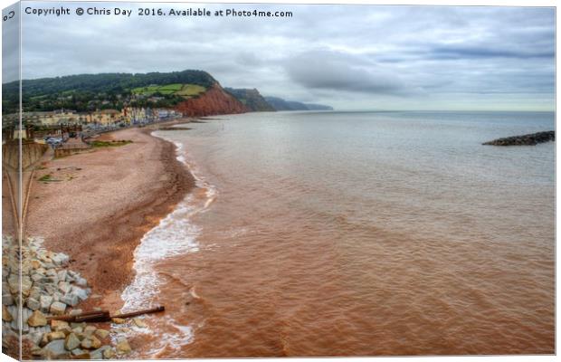 Sidmouth Canvas Print by Chris Day