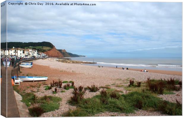 Sidmouth  Canvas Print by Chris Day