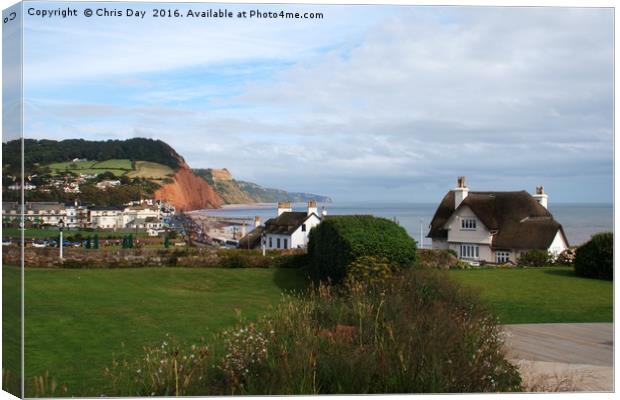 Sidmouth Canvas Print by Chris Day