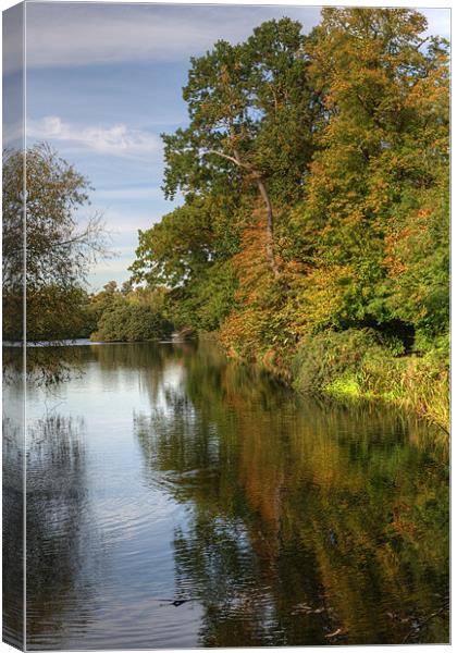 First signs of Autumn Canvas Print by Chris Day