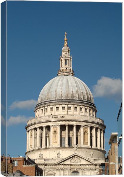 St Pauls Cathedral from the South Canvas Print by Chris Day