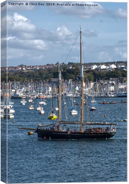 Spirit of Falmouth Canvas Print by Chris Day