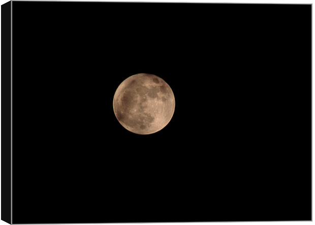 The moon Canvas Print by Chris Day