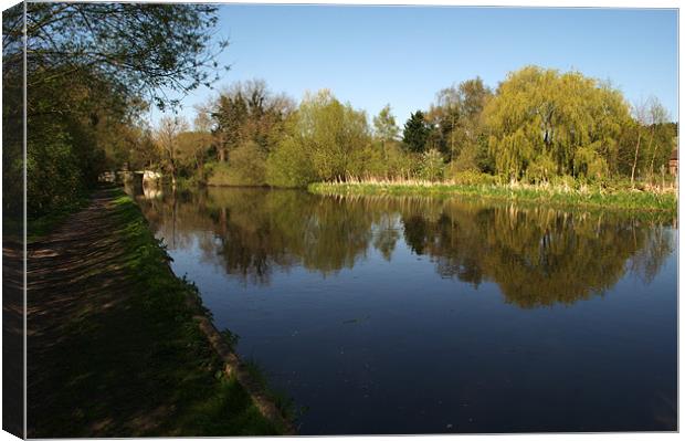 Reflective Mood Canvas Print by Chris Day