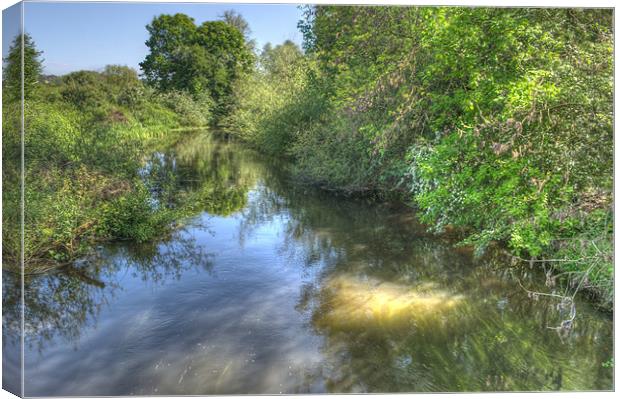 River Colne Canvas Print by Chris Day