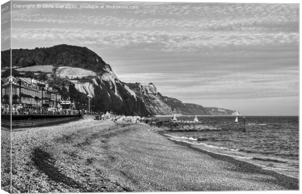 Sidmouth beach Canvas Print by Chris Day