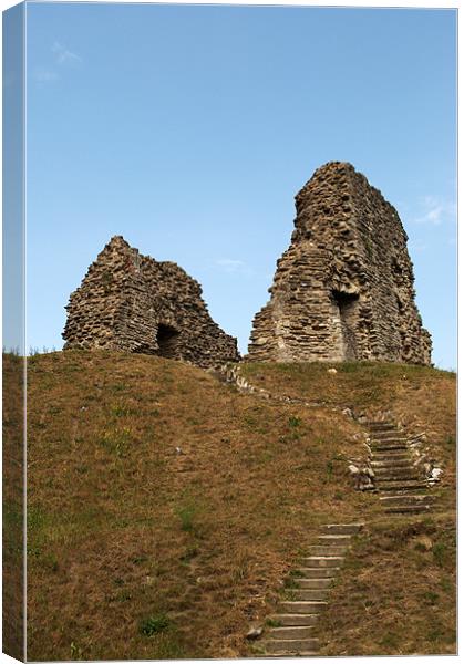 Christchurch Castle Canvas Print by Chris Day