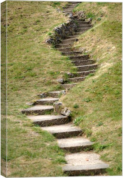 Stairway to ....... Canvas Print by Chris Day