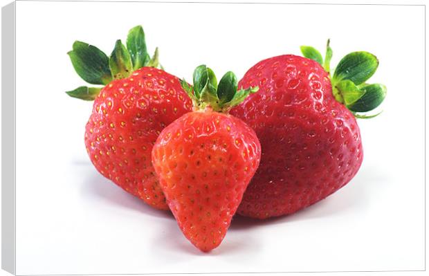 Three Strawberries Canvas Print by Chris Day