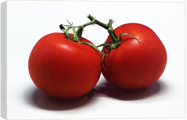 Tomatoes Canvas Print by Chris Day