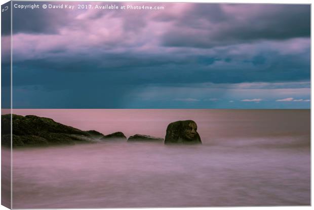 Cleveleys Ogre Canvas Print by David Kay