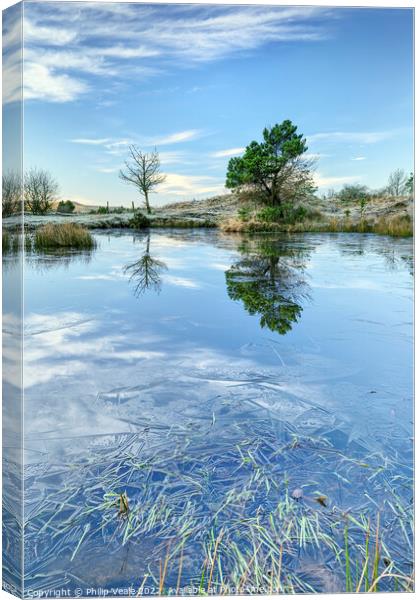 St James Forest Pond Reflection. Canvas Print by Philip Veale