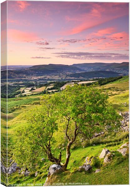 Llangynidr Moors Single Tree Sunset. Canvas Print by Philip Veale