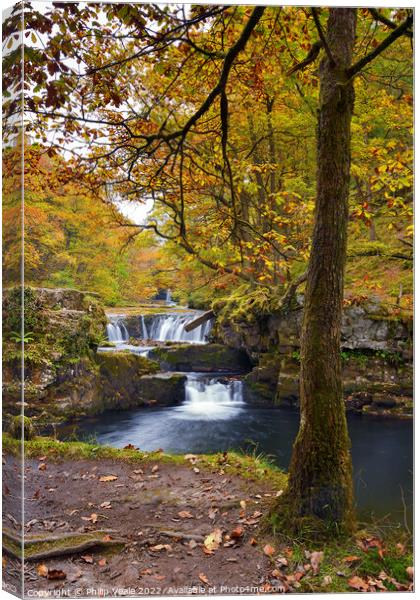 Nedd Fechan Waterfall Autumn Glory. Canvas Print by Philip Veale