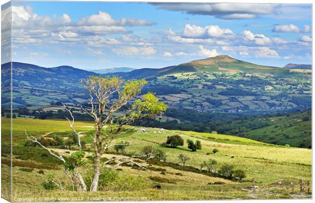 Sugar Loaf Mountain in late summer sunshine. Canvas Print by Philip Veale