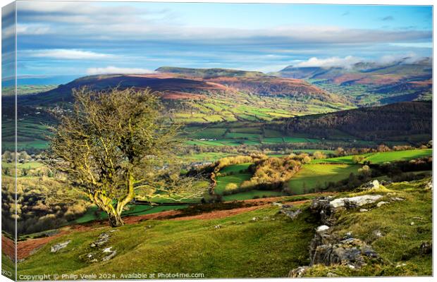 Black Mountains at dawn from the Moors. Canvas Print by Philip Veale