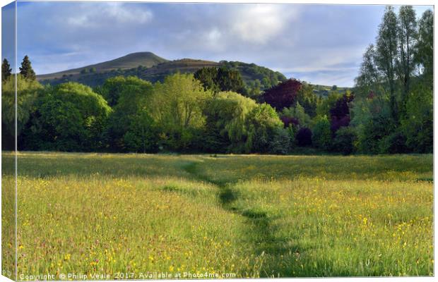 Sugar Loaf from Castle Meadows, Abergavenny. Canvas Print by Philip Veale