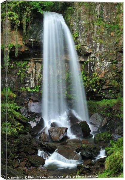 Melin Court Waterfall in late spring. Canvas Print by Philip Veale