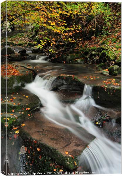 Clydach Gorge Waterfall in Autumn. Canvas Print by Philip Veale