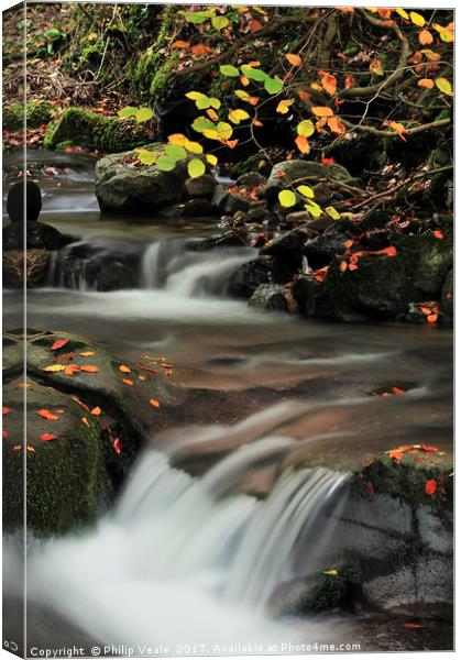 Clydach Gorge Falls in Autumn. Canvas Print by Philip Veale