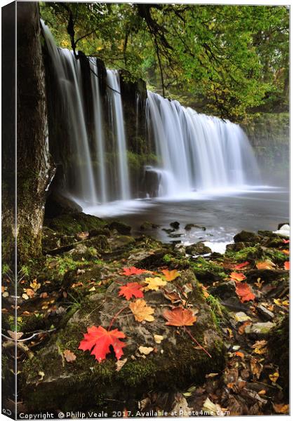 Autumn's Embrace at Sgwd Ddwli Waterfall Canvas Print by Philip Veale