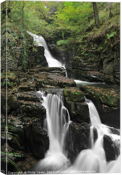 Afon Hepste in Sprintime. Canvas Print by Philip Veale