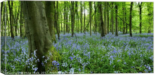 Bluebells Enchant at Coed Cefn, Crickhowell. Canvas Print by Philip Veale