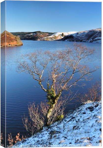 Llyn Brianne in Winter. Canvas Print by Philip Veale