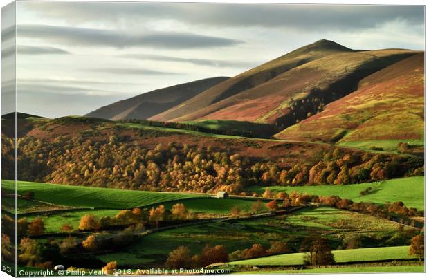Autumn's Golden Touch on Skiddaw Canvas Print by Philip Veale