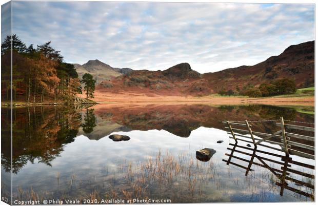 Blea Tarn's Reflection of Serenity at Dawn. Canvas Print by Philip Veale