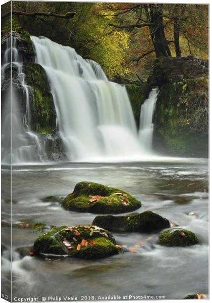 Sgwd y Pannwr as Autumn Falls. Canvas Print by Philip Veale