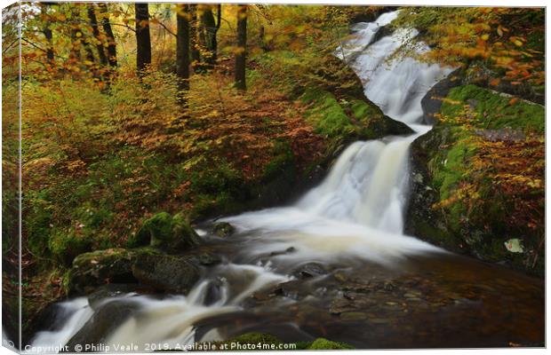 Autumn's Glory at Elan Valley Canvas Print by Philip Veale