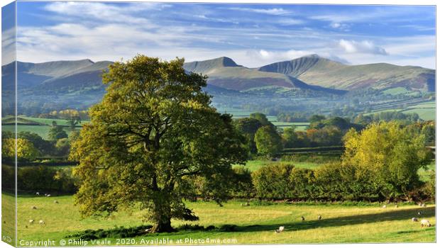 Brecon Beacons As The Seasons Change. Canvas Print by Philip Veale