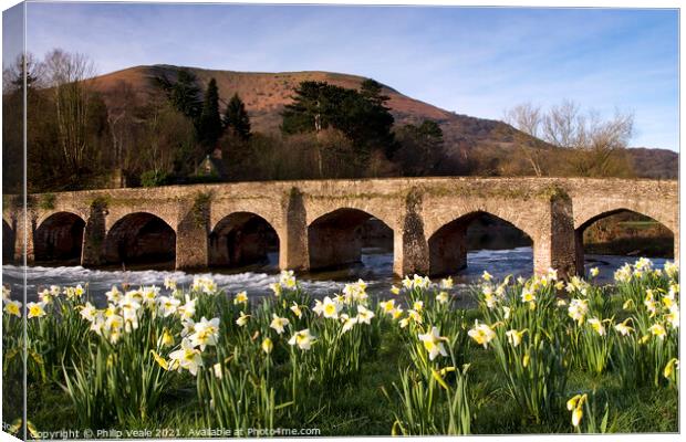 Llanfoist Bridge and Daffodils at Sunrise. Canvas Print by Philip Veale