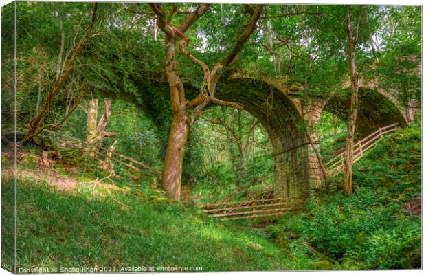 Abandoned Viaduct at Hoghton Bottoms, Preston, Lancashire, UK (Nature Taking Over) Canvas Print by Shafiq Khan